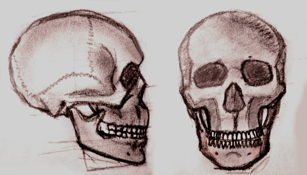 نام: skull_by_sajjadhadipour-d6e86om.jpg نمایش: 117 اندازه: 147.9 کیلو بایت