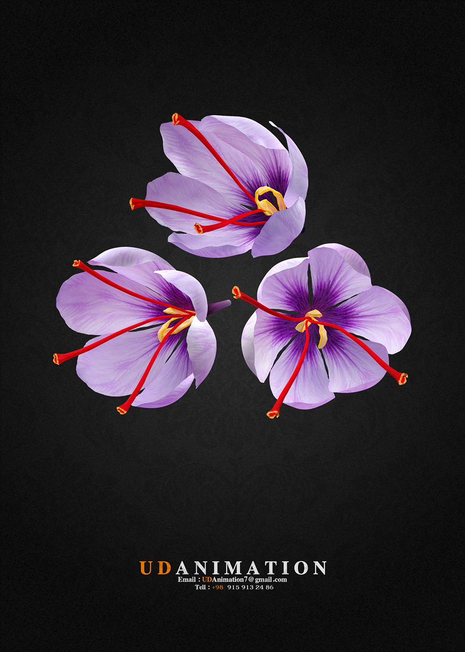 نام: Saffron Flower.jpg نمایش: 70 اندازه: 703.6 کیلو بایت