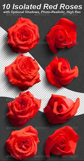 نام: 1385878737_preview-red-roses.jpg نمایش: 105 اندازه: 71.0 کیلو بایت