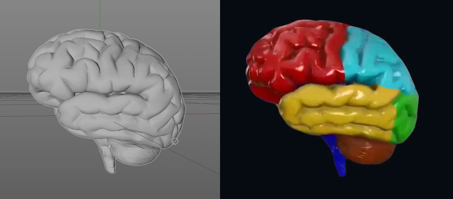 نام: BRAIN.jpg نمایش: 91 اندازه: 71.3 کیلو بایت