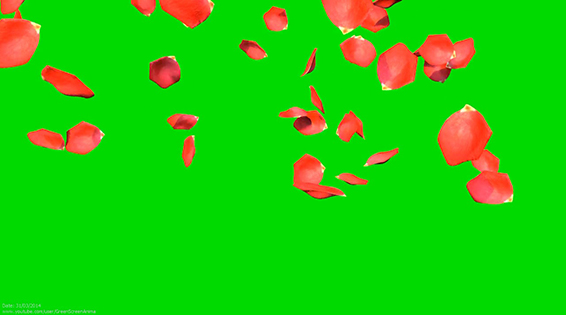 نام: Falling Roses.jpg نمایش: 97 اندازه: 81.9 کیلو بایت