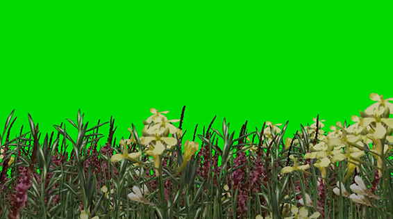 نام: Grass Wwith Flowers 3.jpg نمایش: 131 اندازه: 148.4 کیلو بایت